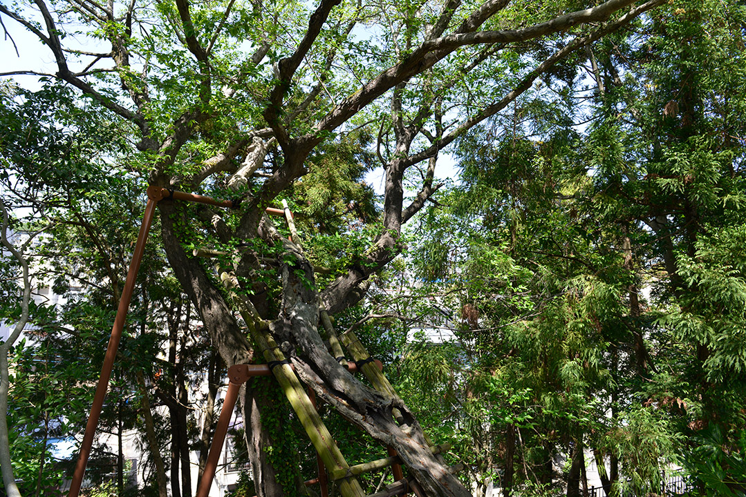 Nagasaki, 2019